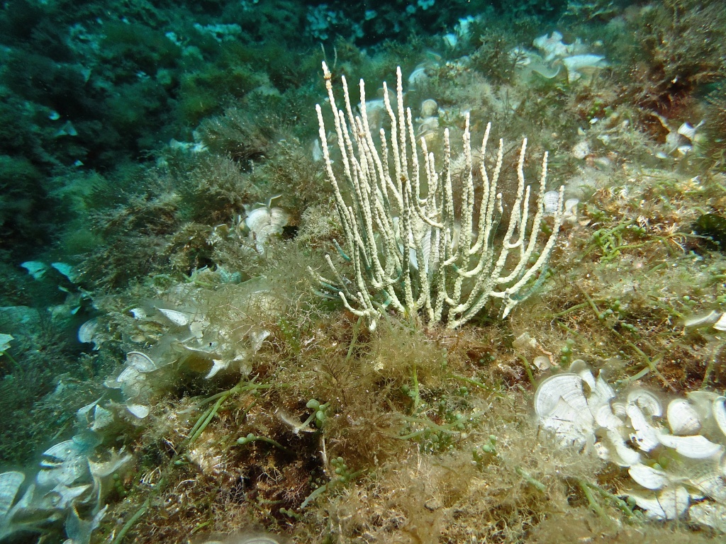 DSC04841